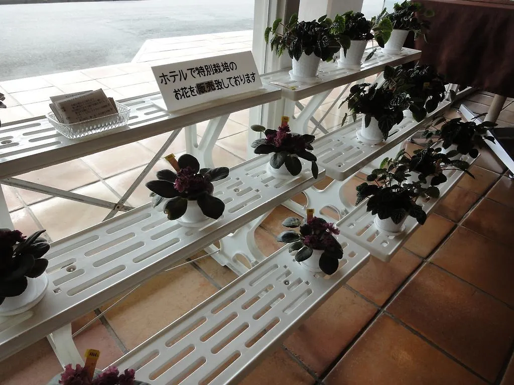 Palace Hotel Hakone 4*,