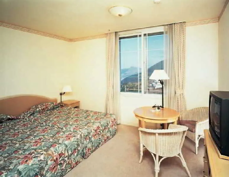 ****  Palace Hotel Hakone Japan