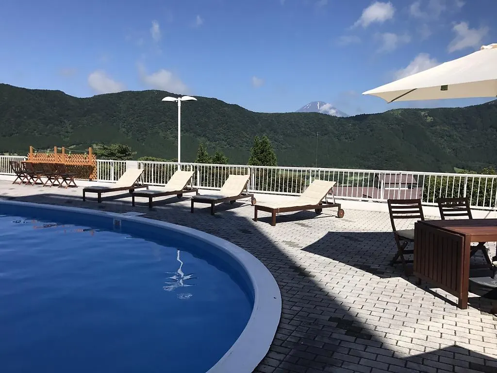 Palace Hotel 하코네 4*,
