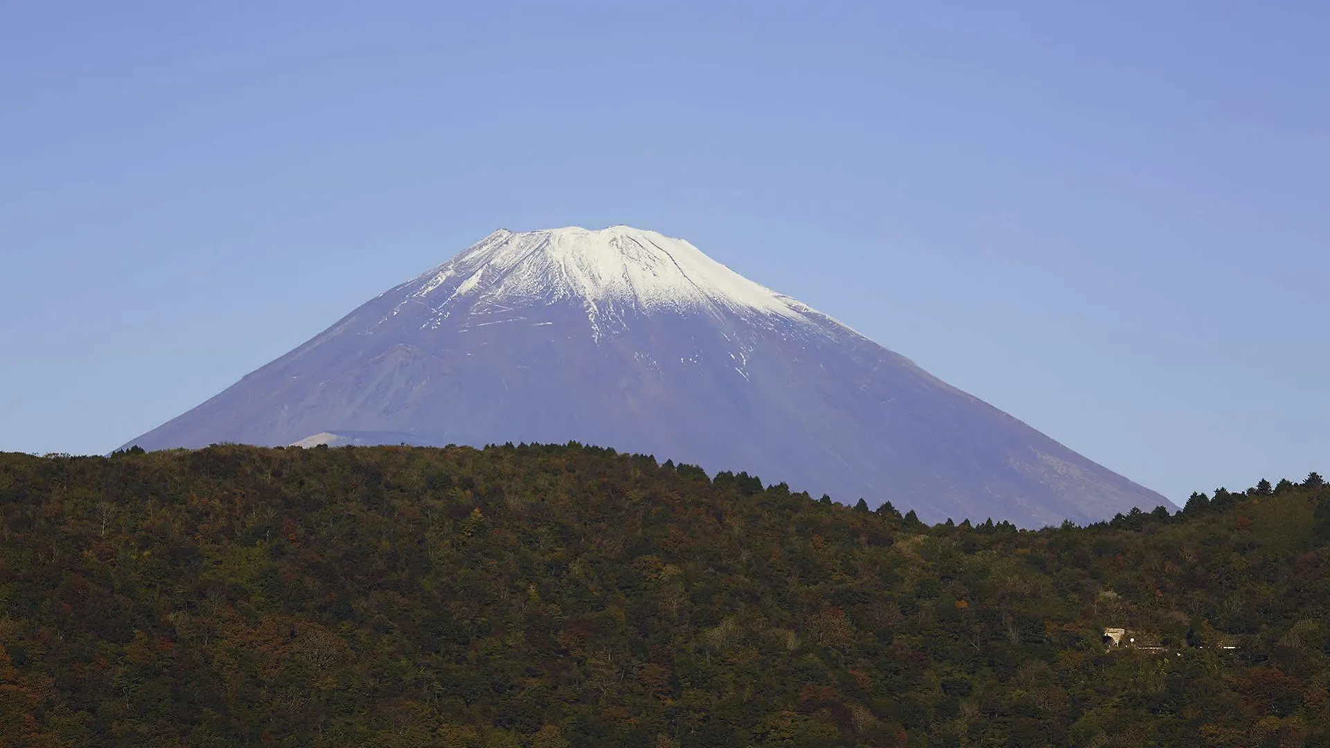 Palace Hotel Hakone